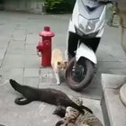 Caught cheating :(