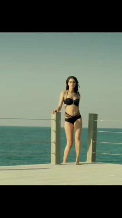 Nargis Fakhri