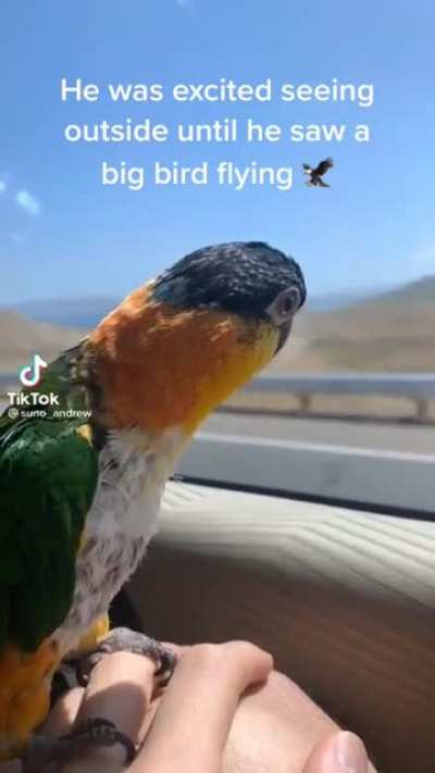La la la AAAAA