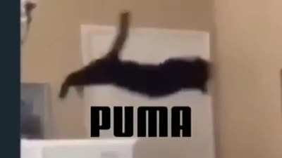 Puma(se o adm autorizar continuo postando)