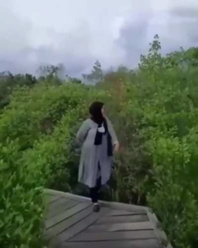 YOLO