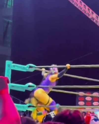 Stinkface Lady Maravilla in Lola Vice