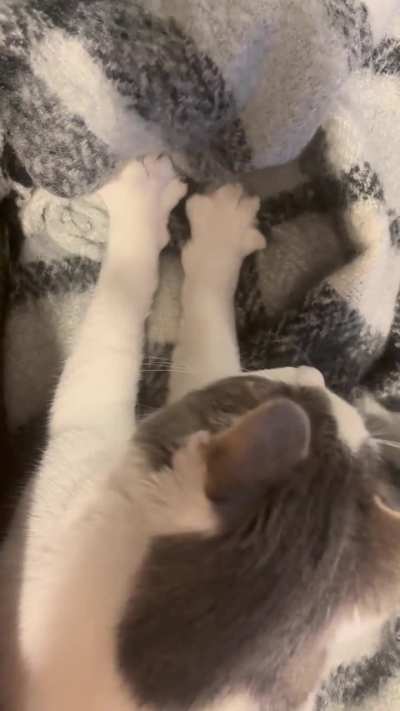 Morning biscuits