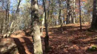 Near death experience on the mtb