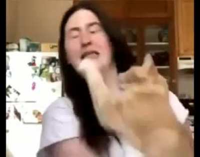 Biased cat