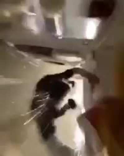 ☠️☠️☠️