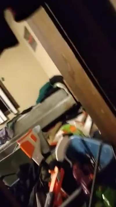 Pizza roll man 2