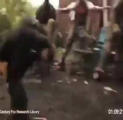 rule, gotta post monkeys now i guess