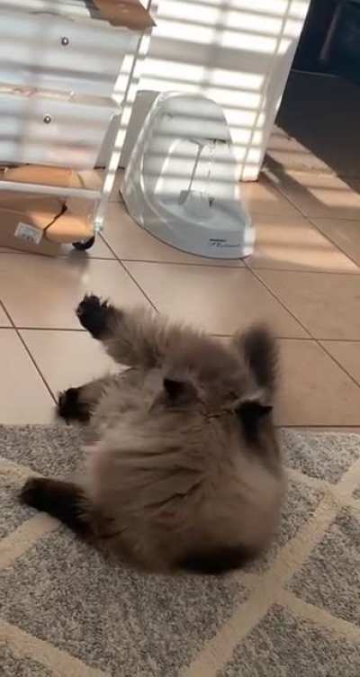 acting a DAMN fool