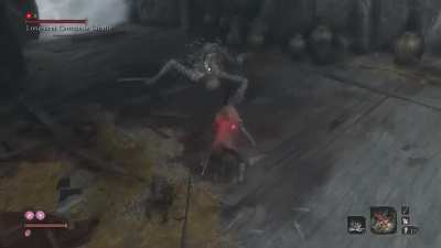 How to beat Long-arm Centipede Giraffe without parrying / getting hit. Happy 4th anniversary Sekiro!