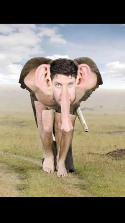 Thanks I hate human elephant