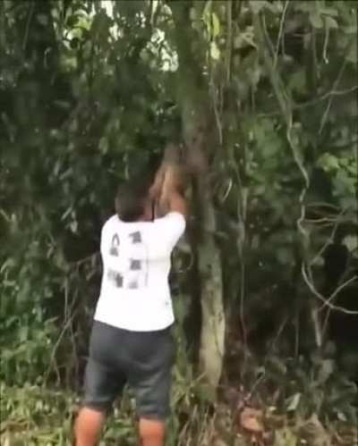 Sloth is being helped to cross the road safely by a bunch of good fellas...