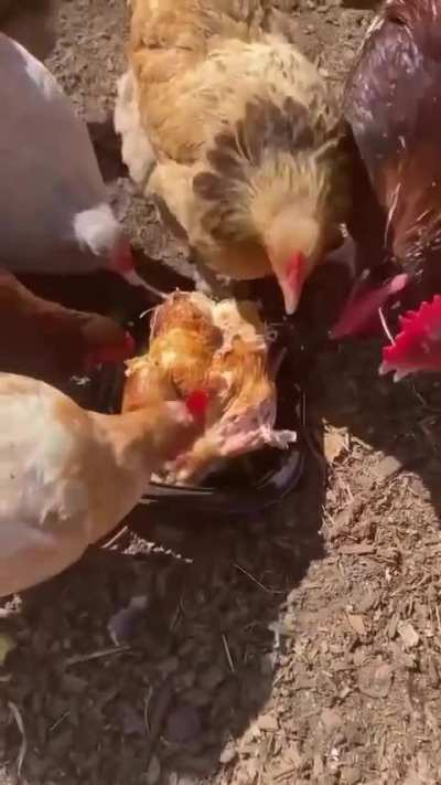 🤯