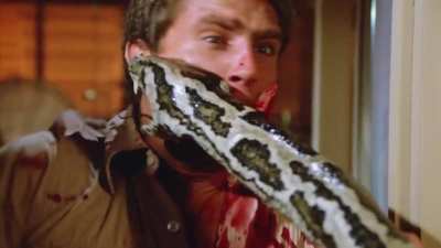Snake fight