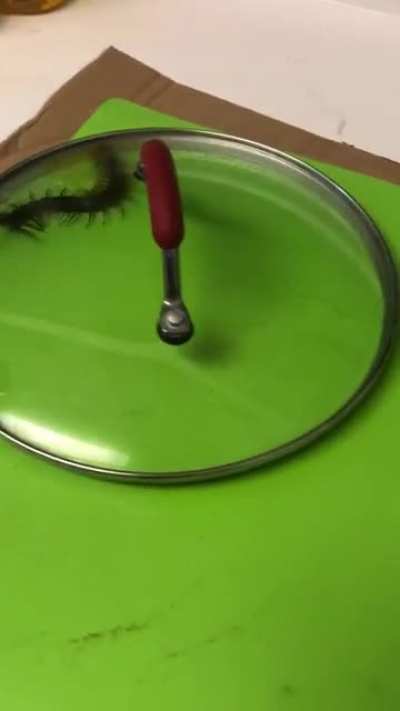 I’m just waiting for it to escape