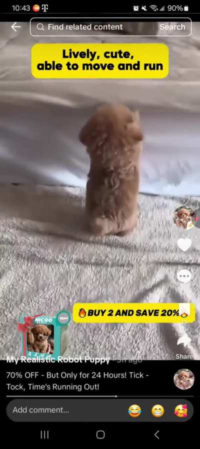 My Best Scam People With AI Clips Puppy