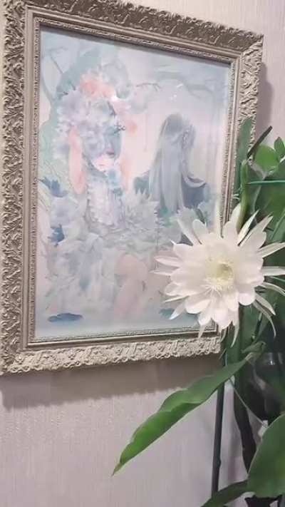 This flower is called 