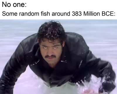 Evolution
