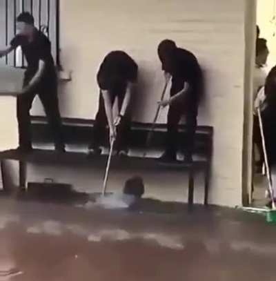 trabalho em equipe