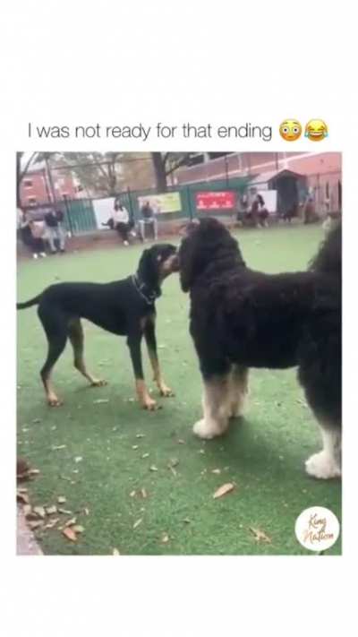 Fighting for a 🎾