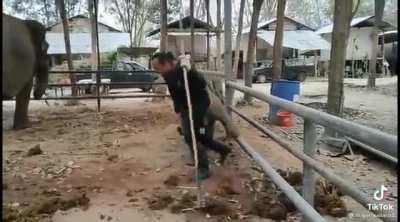This baby elephant having fun with its caretaker