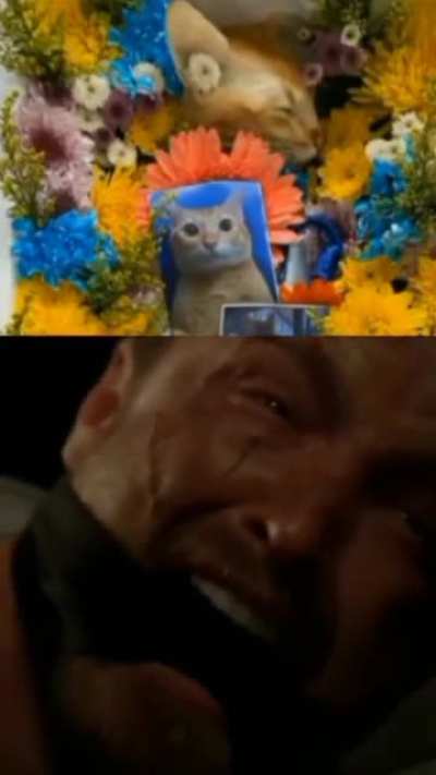 :