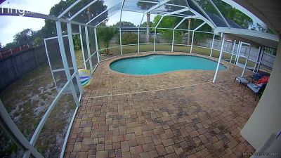 The beach ball wanted out... And the screen door knew it