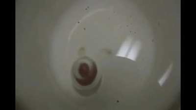 The sound this red hot metal makes when 'quenched'