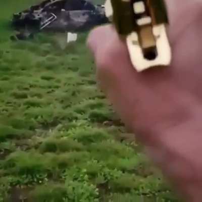 A Desert Eagle's 