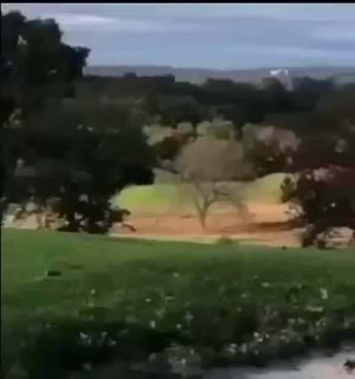 sus 😳