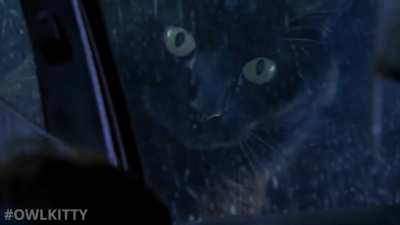 Jurassic Park but with a Cat.