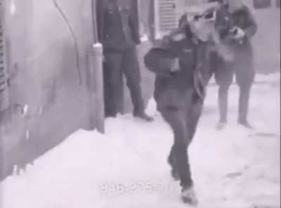A snow fight with the führer