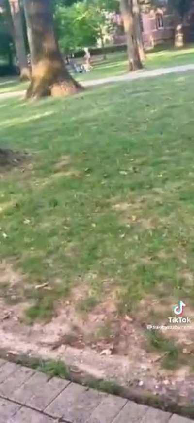 Hey man, film me doing a cartwheel
