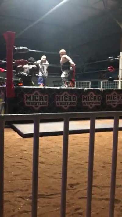 Recently went and watched micro wrestling, was not disappointed!