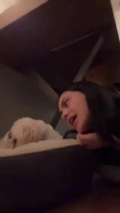 new tiktok
