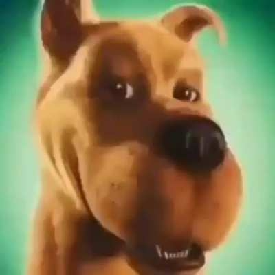 Shaggy Doo