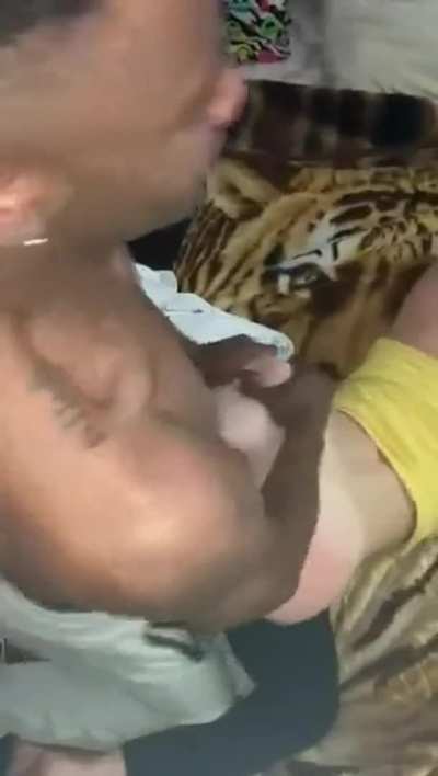 How i want an ALPHA BBC to use my girl in front of me