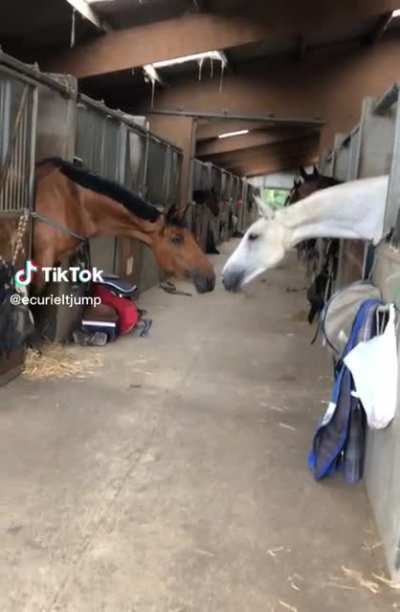 A stable relationship