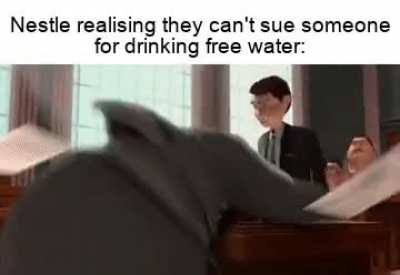Privatised Water