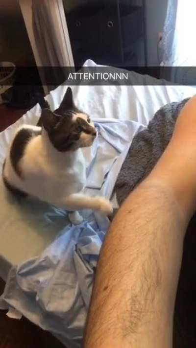 Toby can't possibly be ignored