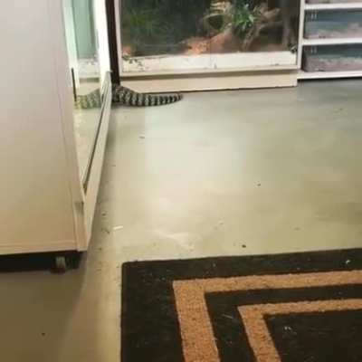 The way it runs