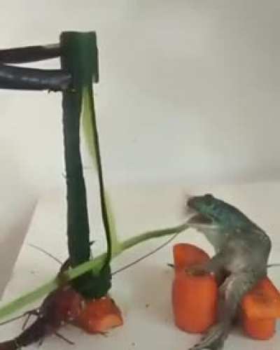 Gay shit