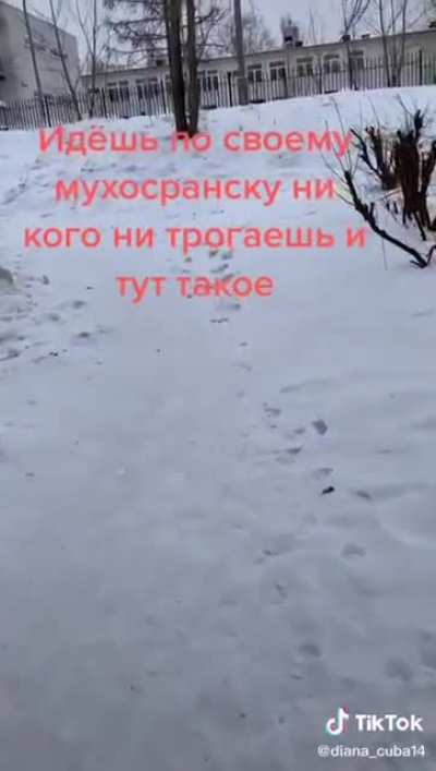 Стремно так жить