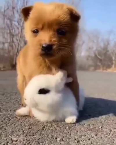 How cute this is...