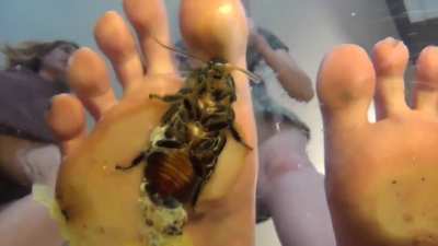 Crushing cockroach under perfect feet.