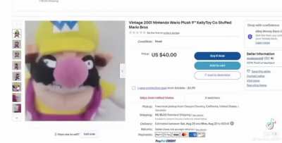wario.mp4
