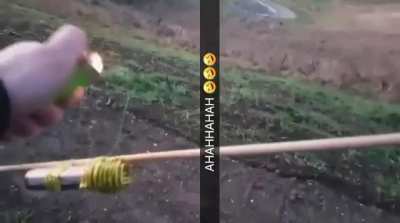 legolas
