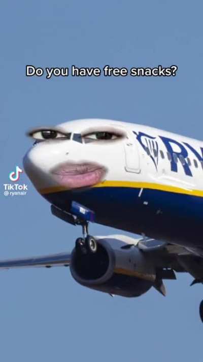 Ryan Air's soc media account runner deserves a raise