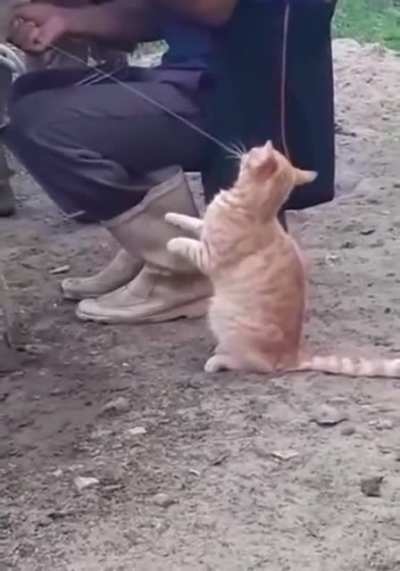 Hey, hey, don't ignore me, man!