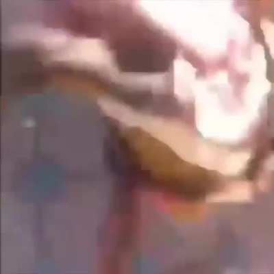 DoglaREDDIT - Video #8044